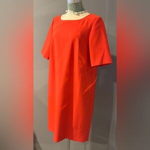 Ann Taylor shift dress with zipper back womens 10